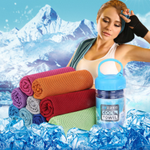 Ice Cooling Sport Gym Towels with Case Bottle