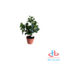 Artificial Potted Plants in Mini Modern Planter Pots