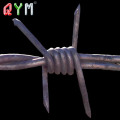 Hot-Dipped Galvanized Barbed Wire for Prison Security Fence