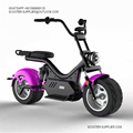 Long Range 1500 Watt Electric Scooters