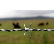 PVC Coated or Galvanized Barbed Wire