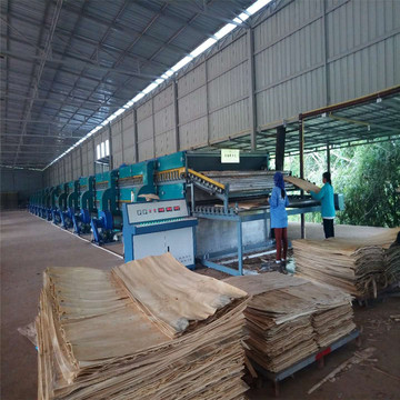 Roller Type Core Veneer Dryer Veneer Board Dryer