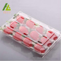 12 Compartments Plastic Strawberry Packaging Container