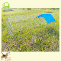 Wholesale galvanized chicken cages with cover