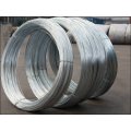 BWG8-BWG22 Electro Galvanzied binding wire