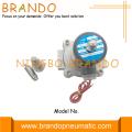 2S250-25 Electric Solenoid Valve for water gas