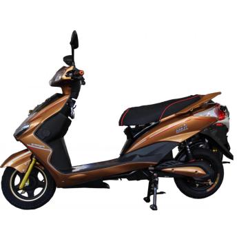 800w brushless  disc brake electric scooter