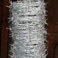 Esgrima de alambre de púas galvanizado de la prisión