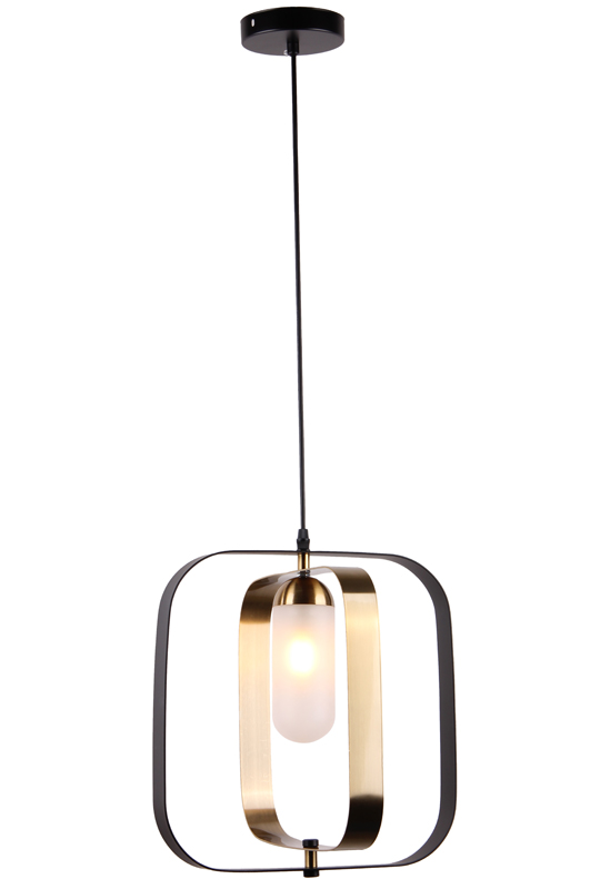 Black Brass Modern Light