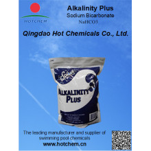 Produits chimiques de piscine Alkalinity Plus Bicarbonate de sodium