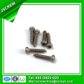 Pan Head Stainless Steel Self Tapping Screw