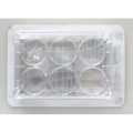 Cell Culture Plates