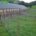 Galvanized Iron Page Field Farm Wire Livestock Fence