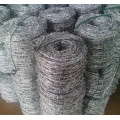 SGS electro galvanized barbed wire for sales