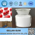 Gellan Gum used in Antwork