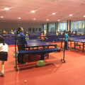 indoor portable rubber table tennis court floor