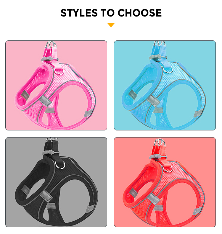 pet leashes