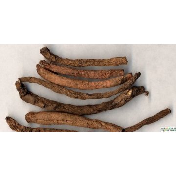 100% Natural Curcyliginis Extract Curculigoside Extract Powder