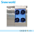 Snow world 3T Plate Ice Plant For Drinking