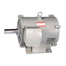 Elevator Component , Small Vibration SB-JR Series Motors