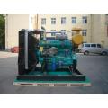 Conjunto de Weifang R6113 motor Motor para gerador