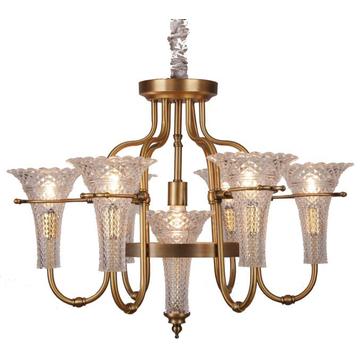 Iron Chandelier Lighting, Metal Body, Glass Fabric, 6 Lights (SL2238-6+1)