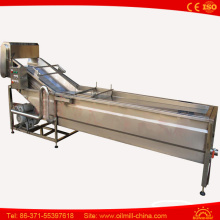 Fruit and Vegetable Washer Stainless Steel Industrial Fruit Washer Price