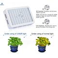 Full Spectrum Grow Lamp for Hydroponic Indoor Plants