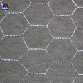 1/4" hexagonal wire mesh