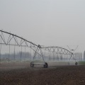 Zentrales Pivot-Bewässerungssystem mit großem Wassersprinkler