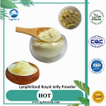 Supply Freeze Dried Pure Lyophilized Royal Jelly Powder