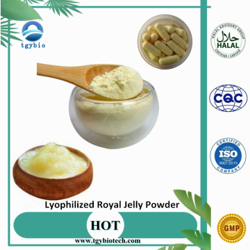 Supply Freeze Dried Pure Lyophilized Royal Jelly Powder