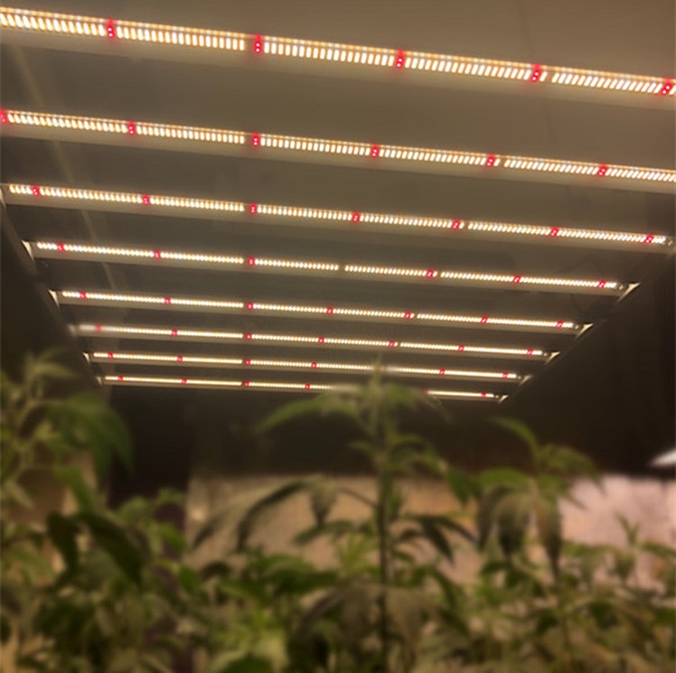 Grow Light Herb Garden