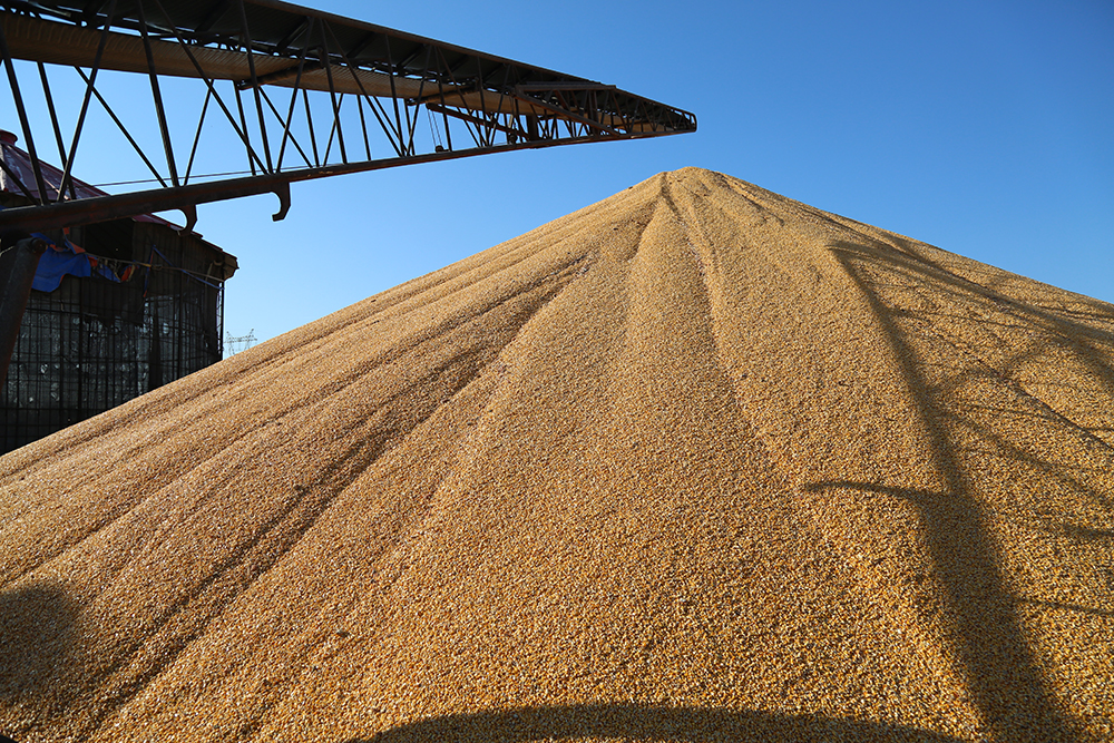 Farm Corn Dryer Machine