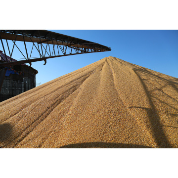 High Quality Farm Corn Grain Dryer Machine