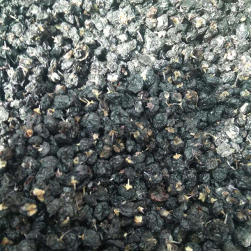 NingXia 0.5 Special Grade Black Wolfberry Good Price