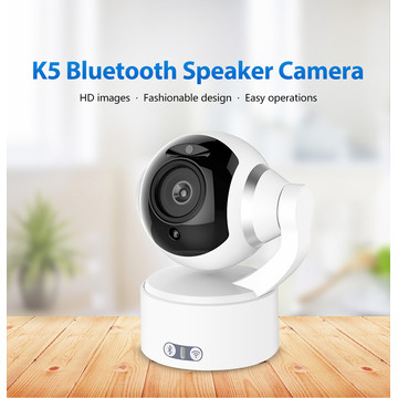 1080P Wireless Speaker Vedio Monitoring IP Security Camera