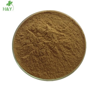 Pure Syzygium Aromaticum Clove Extract