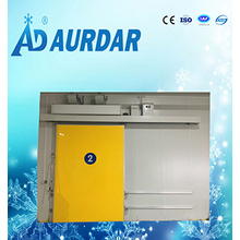 Automatic Cold Storage Freezer Room Sliding Door for Food