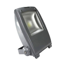 ES-30W LED Fluter