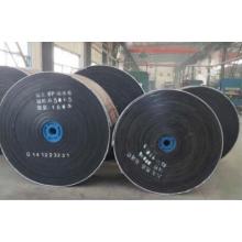 Filter/Dewatering Conveyor Belts