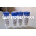 High Purity Carperitide 89213-87-6 with Best Price