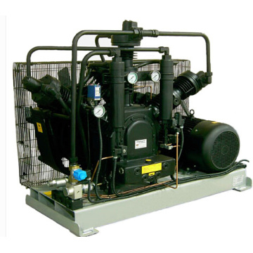 Compressores de pistões de estação de pressão média hidrelétricas especialmente utilizados (80SH-15150)