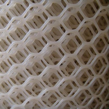 China Expert Manufacturer of Plastic Wire Mesh