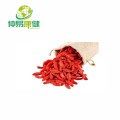 Extrait de baies Goji Lycium Barbarum Powder Wolfberry