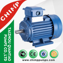 IEC Standard Y2 Series Three Phase Induction Motor