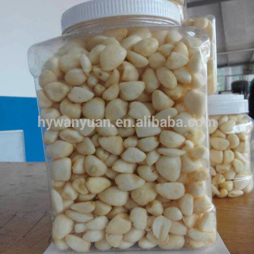 Nice white vacuum fried peeled garlic clove