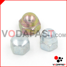 Aço Hex Domed Cap Nuts