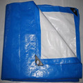 Blue White Tarpaulin With Aluminium Eyelets