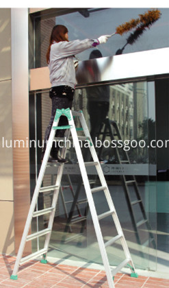 A type ladder use